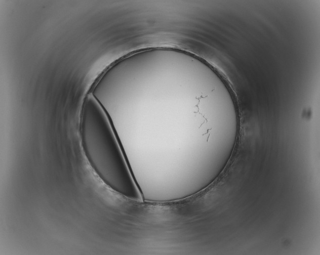 X0000111431088200907271059