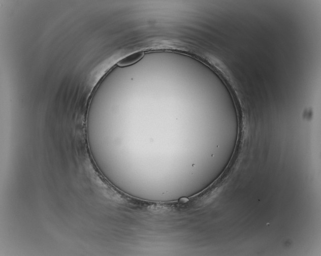 X0000111431089200907271059