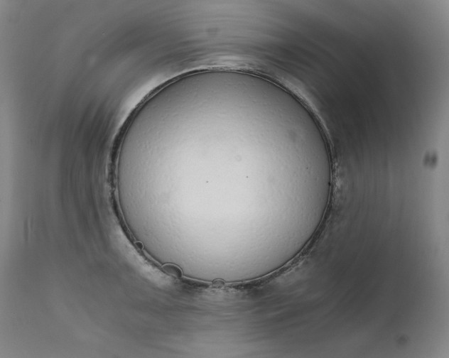 X0000111431091200907271059