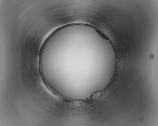 X0000111431092200907271059