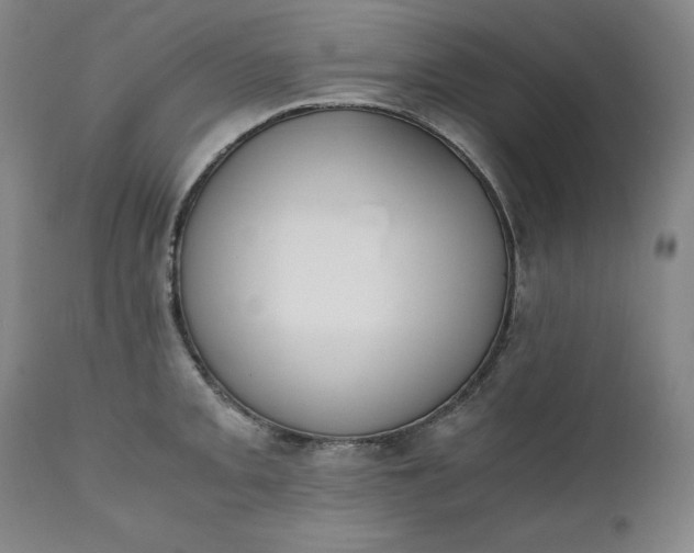 X0000111431093200907271059