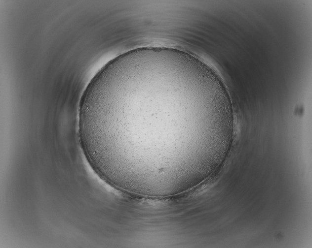 X0000111431095200907271059