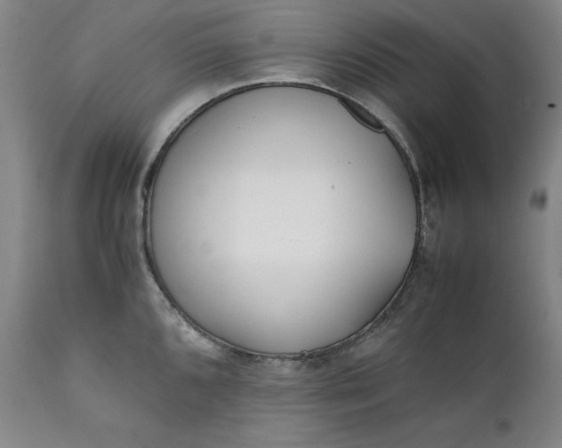 X0000111431096200907271059