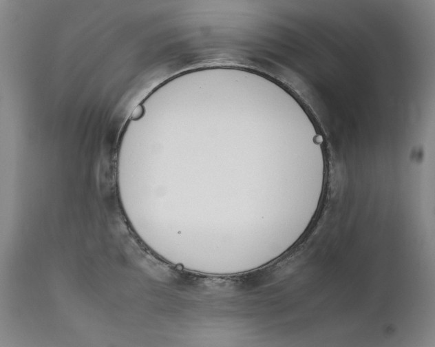 X0000111431097200907271059