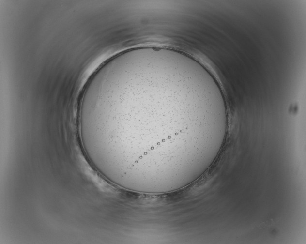 X0000111431099200907271059