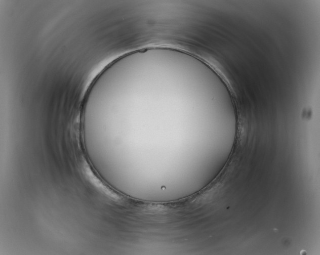 X0000111431100200907271059