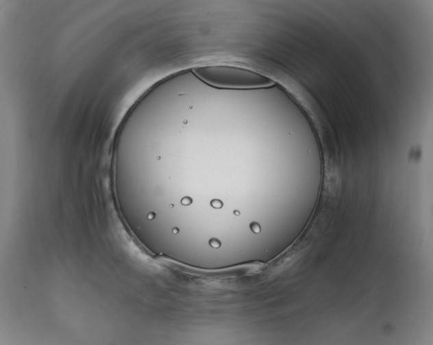 X0000111431102200907271059