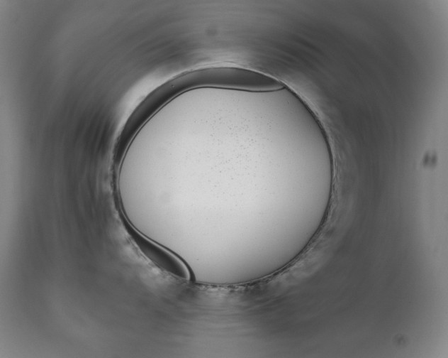 X0000111431104200907271059