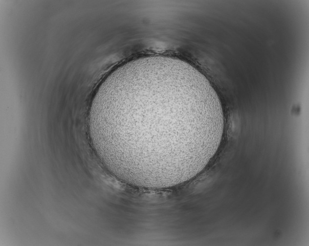 X0000111431105200907271059