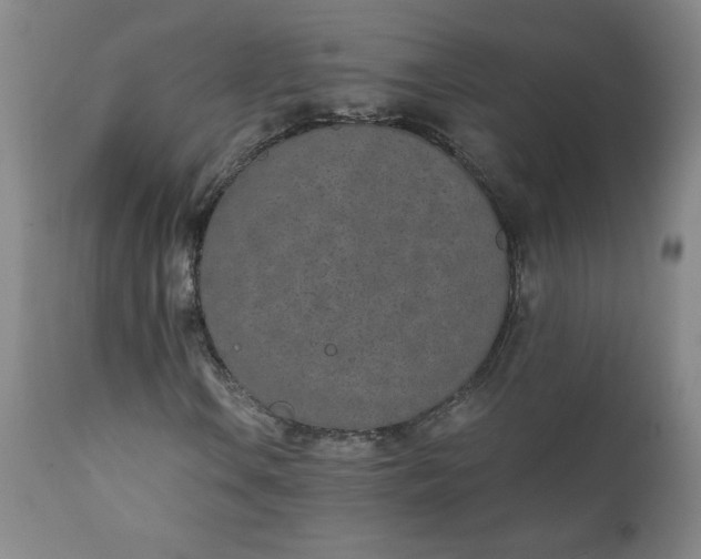 X0000111431106200907271059