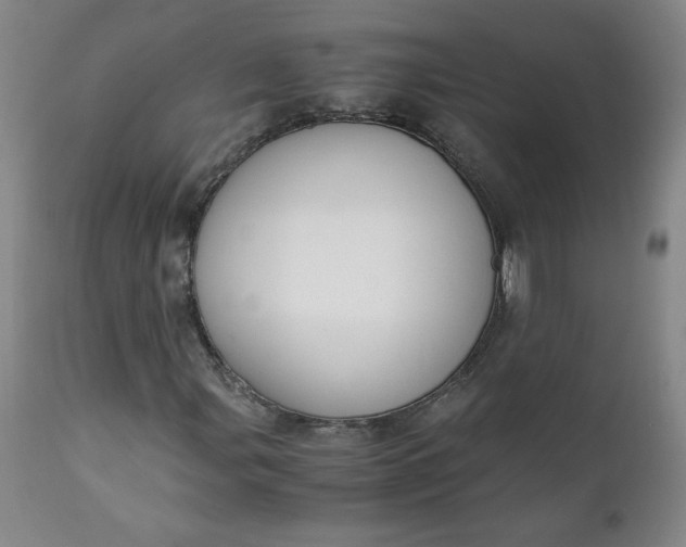 X0000111431107200907271059