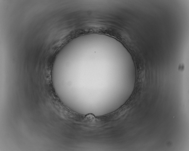 X0000111431109200907271059