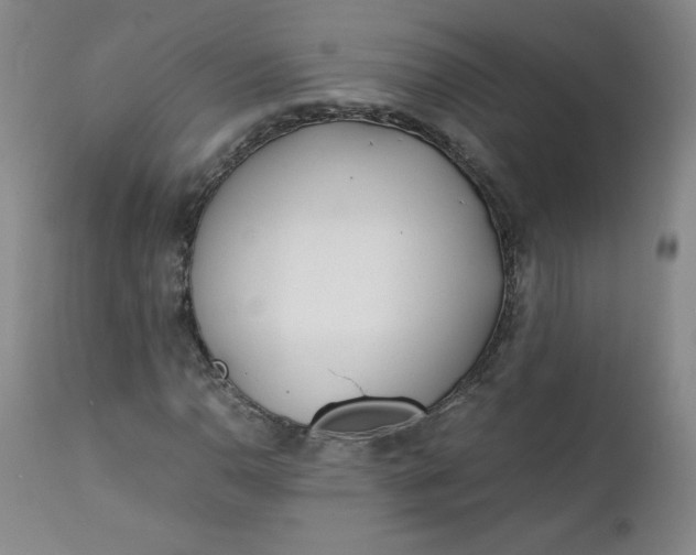 X0000111431110200907271059