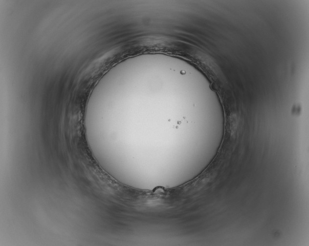 X0000111431111200907271059