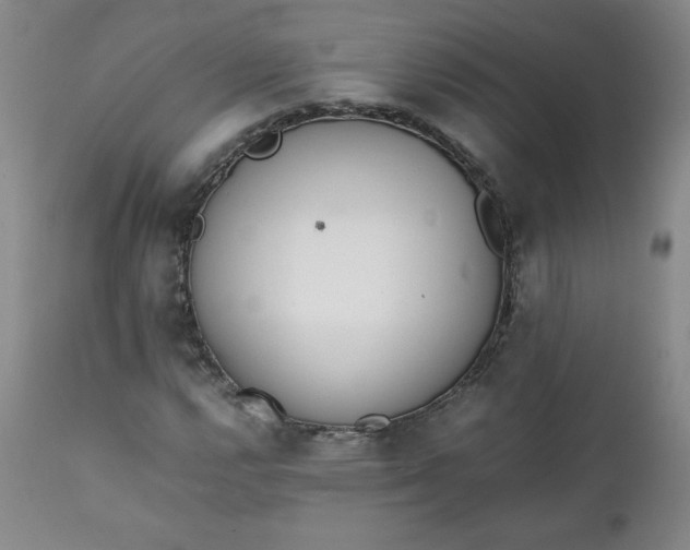 X0000111431112200907271059