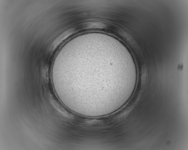 X0000111431113200907271059