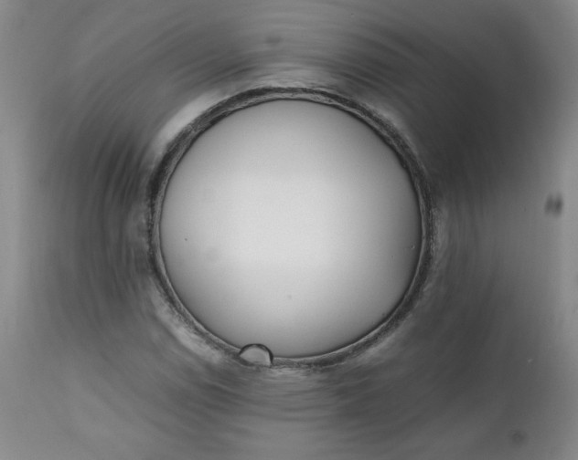 X0000111431114200907271059