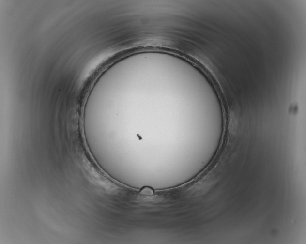 X0000111431115200907271059