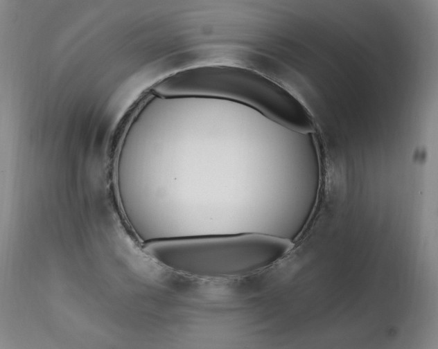 X0000111431116200907271059