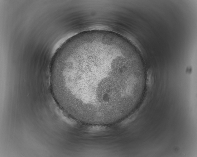 X0000111431117200907271059