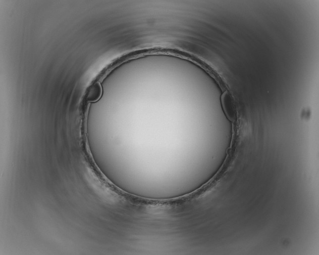 X0000111431118200907271059