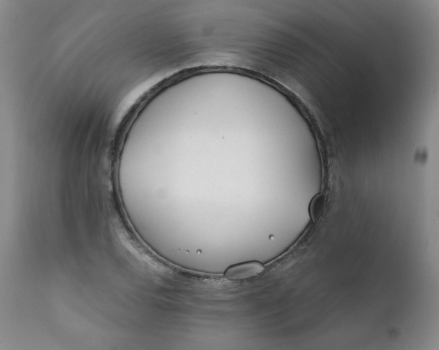 X0000111431120200907271059