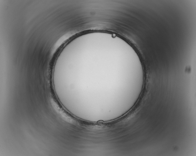 X0000111431122200907271059