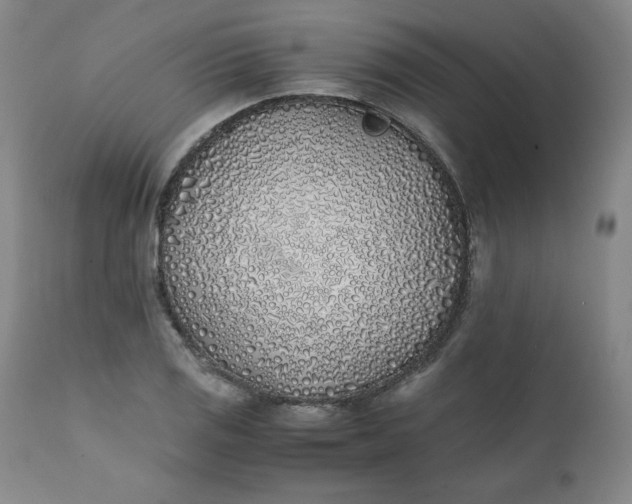 X0000111431125200907271059