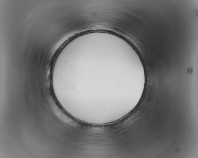 X0000111431126200907271059