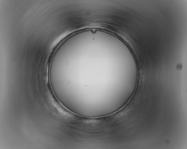 X0000111431127200907271059