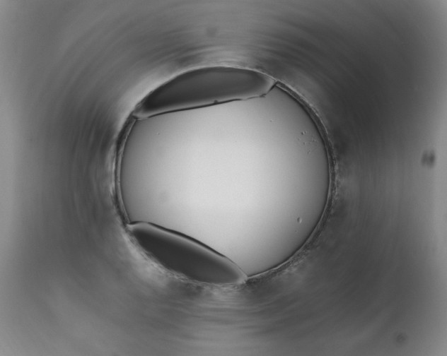 X0000111431128200907271059