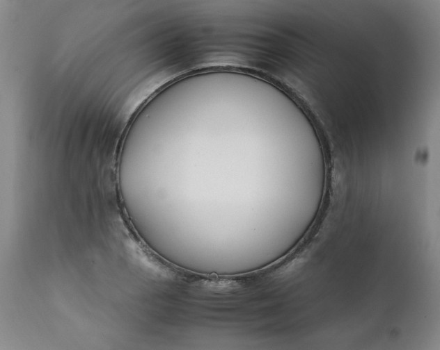 X0000111431129200907271059