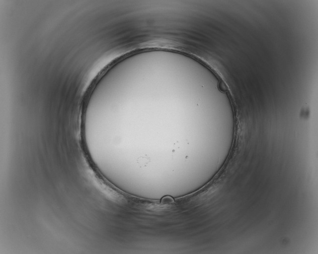 X0000111431131200907271059