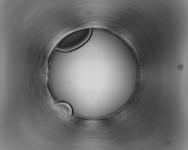 X0000111431132200907271059