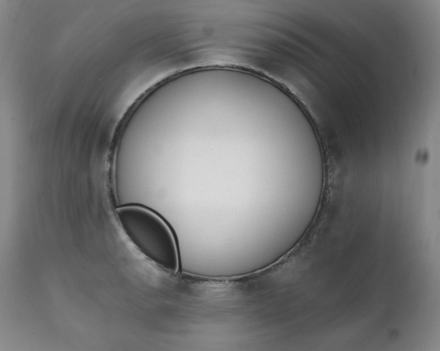 X0000111431134200907271059