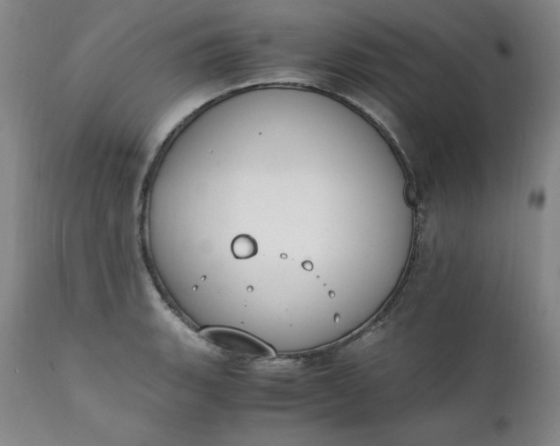 X0000111431135200907271059