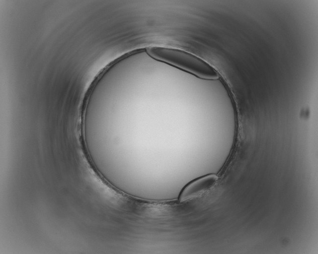 X0000111431136200907271059