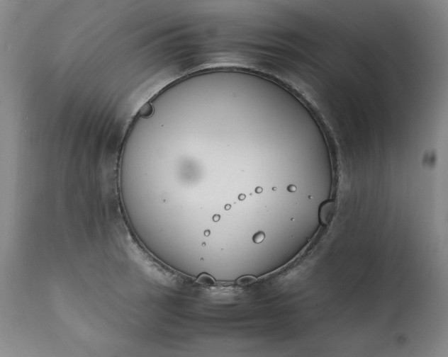 X0000111431137200907271059