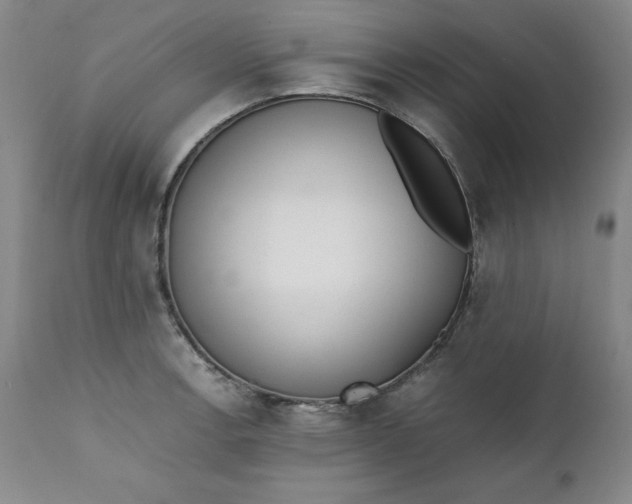 X0000111431138200907271059