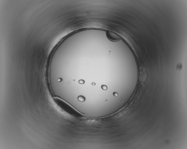 X0000111431139200907271059