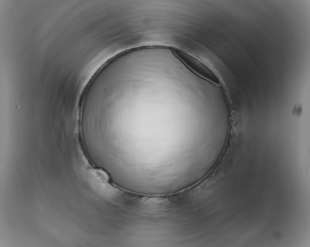 X0000111431140200907271059