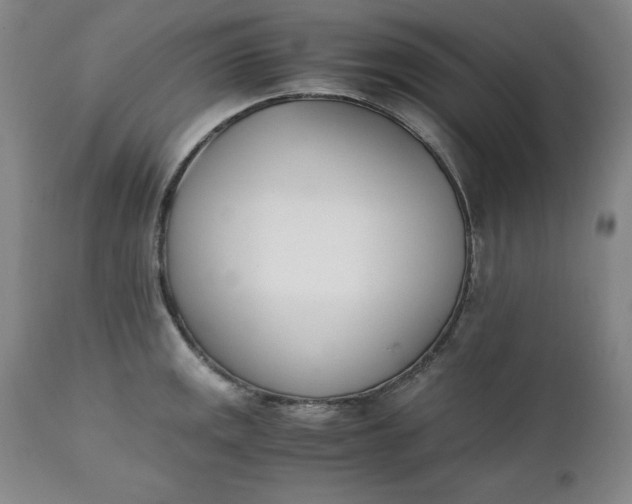 X0000111431141200907271059