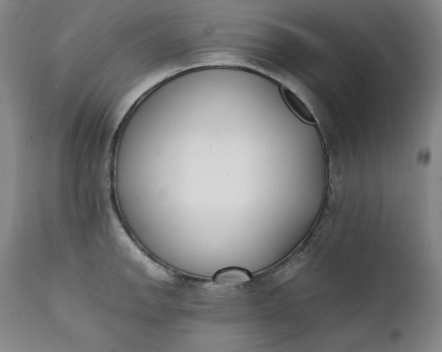 X0000111431142200907271059