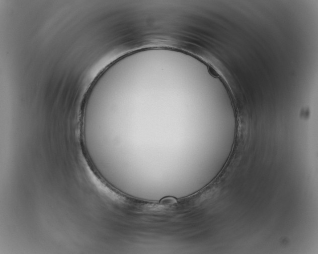 X0000111431143200907271059