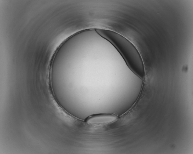 X0000111431144200907271059