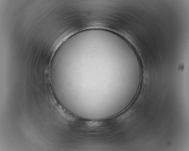 X0000111431145200907271059