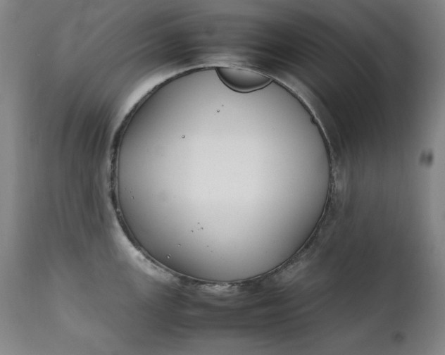 X0000111431147200907271059