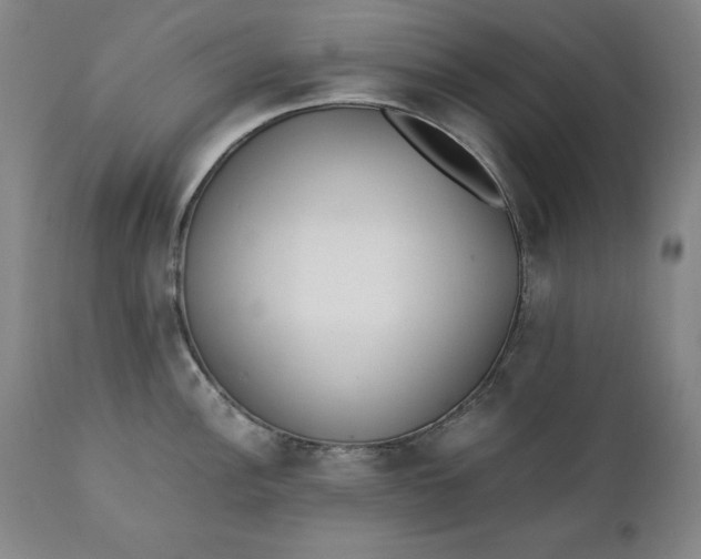 X0000111431148200907271059