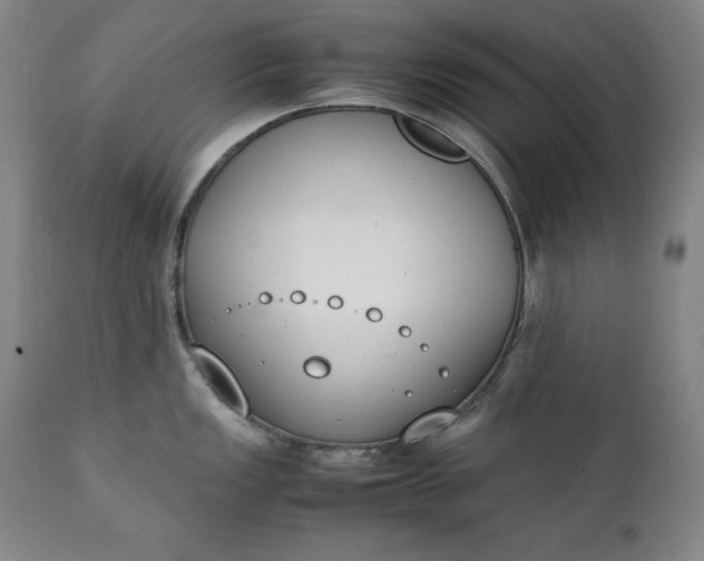 X0000111431149200907271059