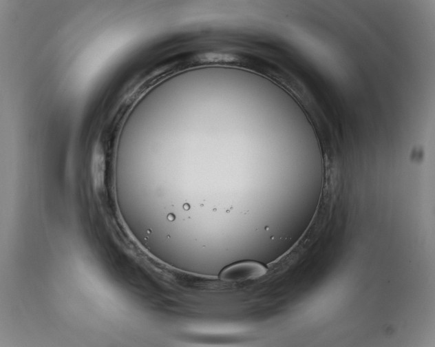 X0000111431151200907271059